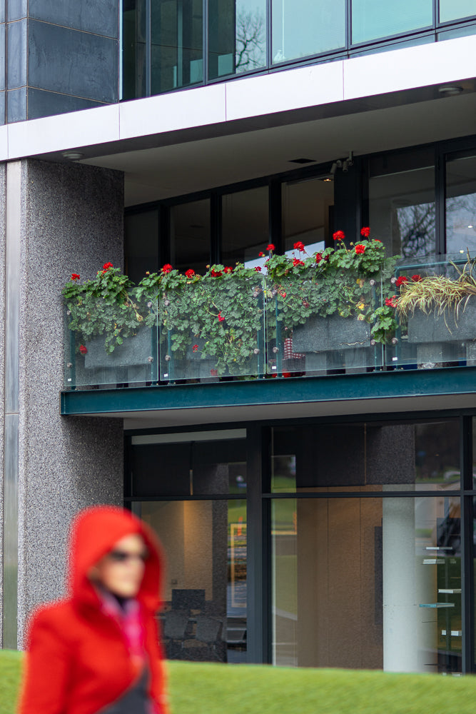 A modern building with a balcony filled with red geraniums and green foliage. The balcony has a glass railing. In the foreground, a person in a red hooded jacket is out of focus.