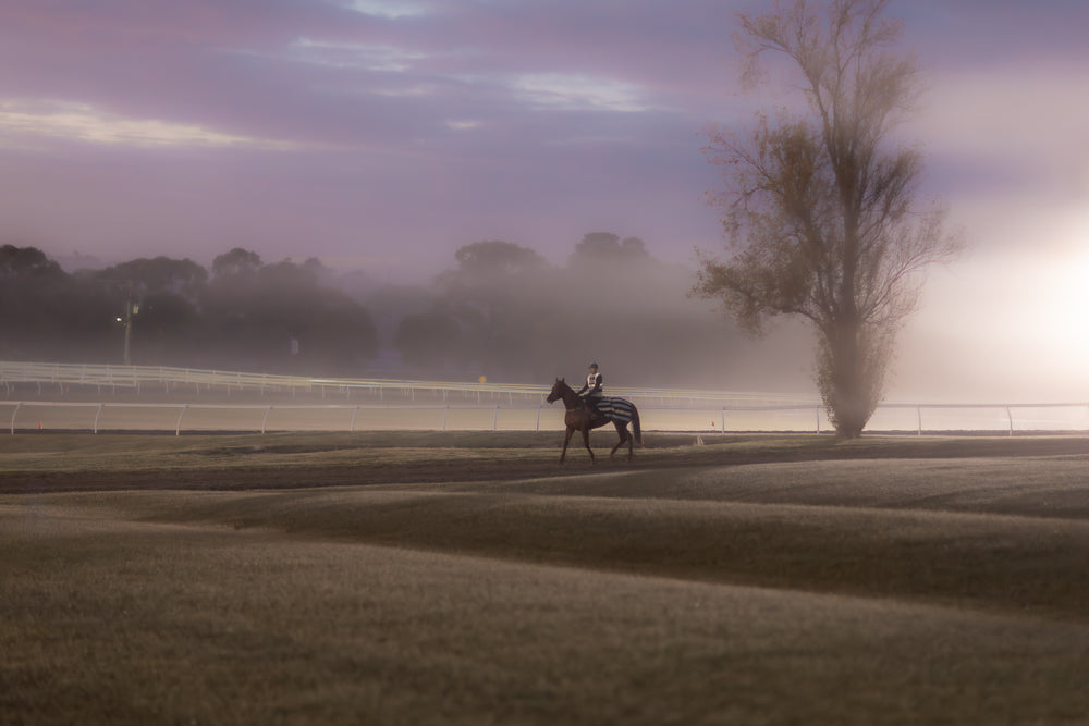 A lone jockey on a brown horse with a striped blanket walks across a misty field at sunrise. A bare tree stands to the right, silhouetted against the bright, hazy sky.