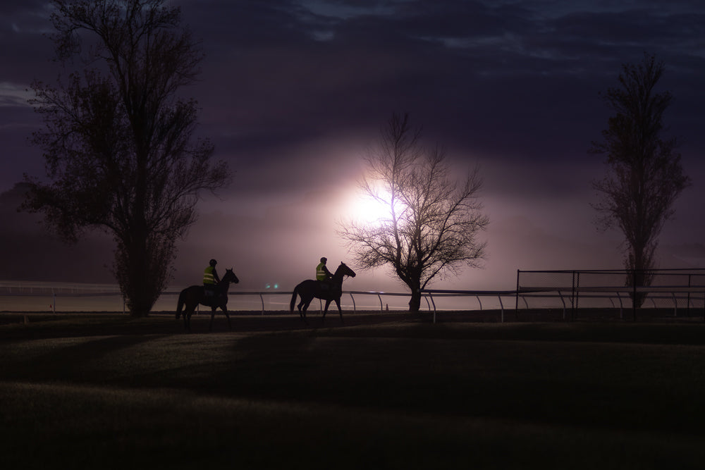 Two jockeys in high-visibility vests ride horses on a dark, misty morning. A bright light source behind them illuminates the scene, silhouetting bare trees and a fence.