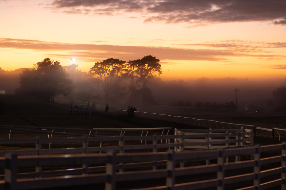 Silhouettes of horses and riders gallop along a misty racetrack at sunrise. The sky is a warm gradient of orange and yellow, with clouds tinged pink and grey. Trees are visible in the background, shrouded in fog.