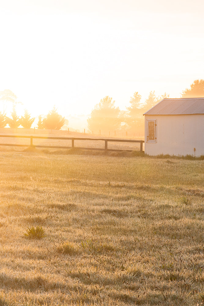 A white shed with a corrugated roof and a small window stands in a field of frosted grass. A wooden fence runs horizontally across the middle ground, with trees silhouetted against a bright, hazy sunrise in the background.