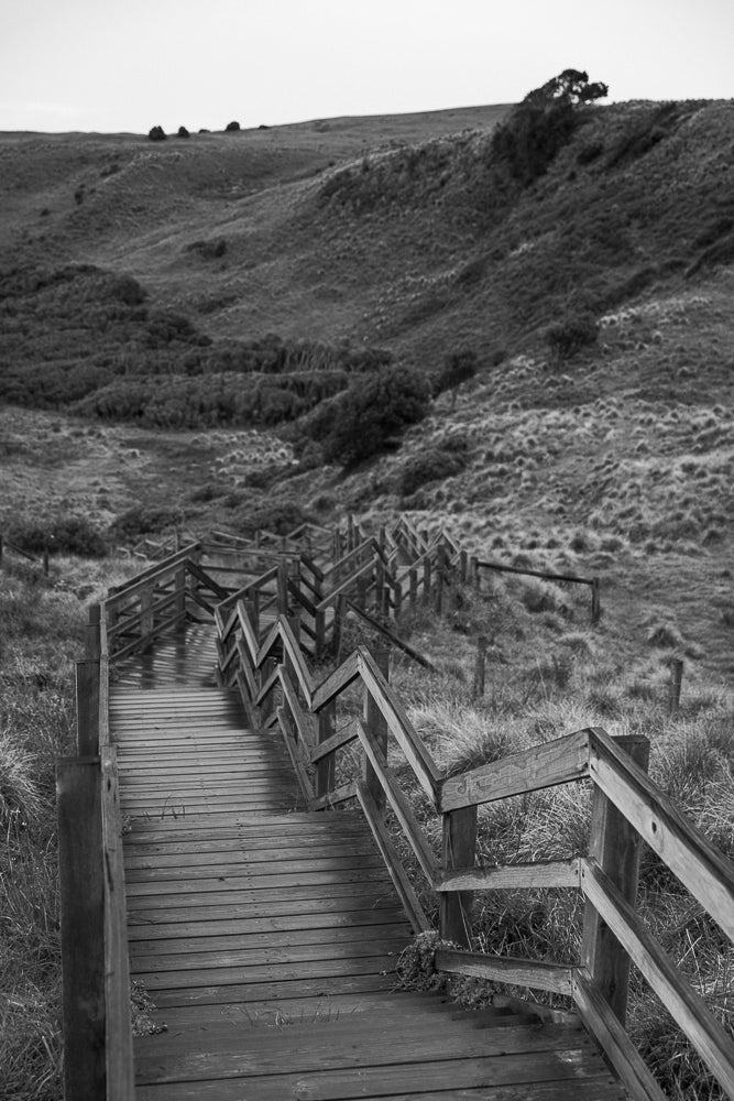 A wooden boardwalk with railings winds down a grassy, rolling hill under a bright sky. A lone tree stands on the horizon.