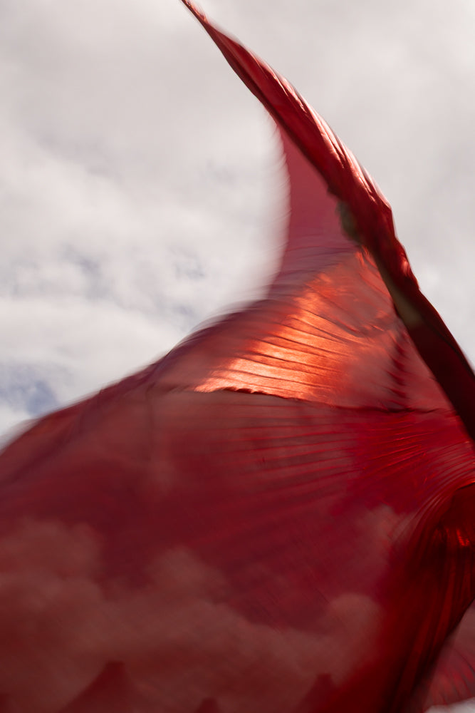 A close-up, abstract shot of a red fabric billowing in the wind against a cloudy sky. The fabric is translucent, allowing light to shine through and highlight its textured folds.