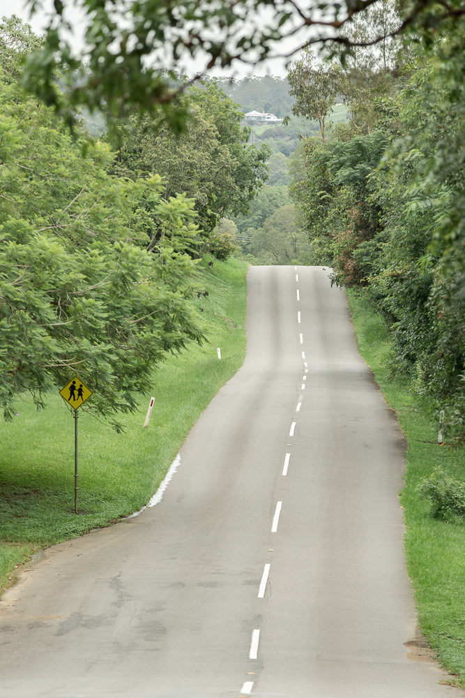 A winding asphalt road curves uphill through a lush green forest. A yellow diamond-shaped sign with black silhouettes of two children walking is visible on the left side of the road.