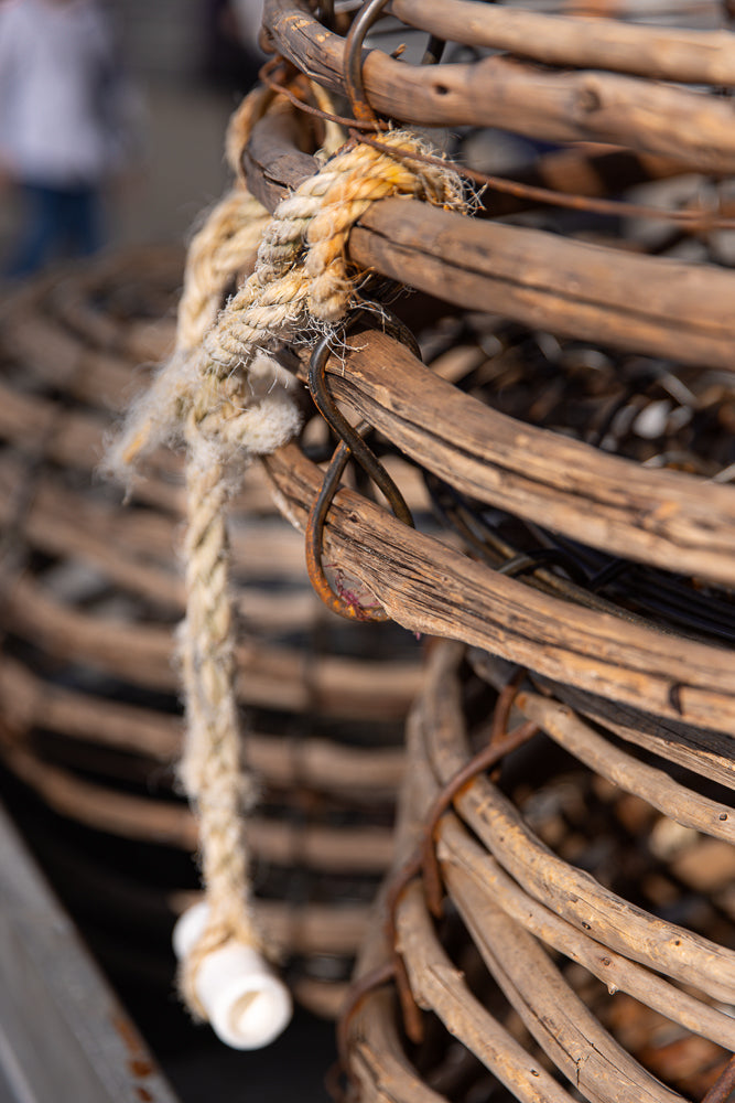 A close-up shot of a weathered crab pot made of woven wood and rope. The thick, natural fiber rope is tied with a metal hook and a white plastic cap is visible at the end of the rope.