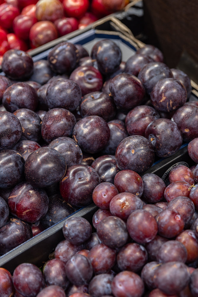 A close-up shot of a bin filled with ripe, dark purple plums. Some plums are a deep red color, and all are plump and smooth-skinned, with a few showing a light dusting of natural bloom.