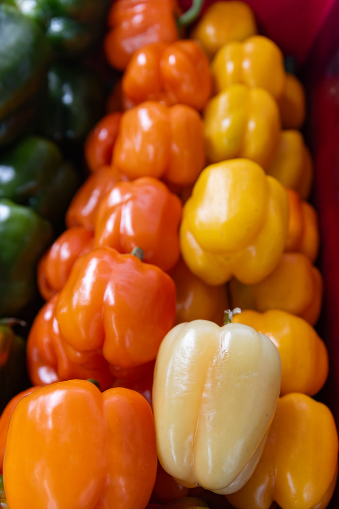A close-up shot shows a variety of colorful bell peppers, including green, orange, yellow, and a pale yellow pepper in the foreground. The peppers are plump and shiny, with a slight sheen from moisture.