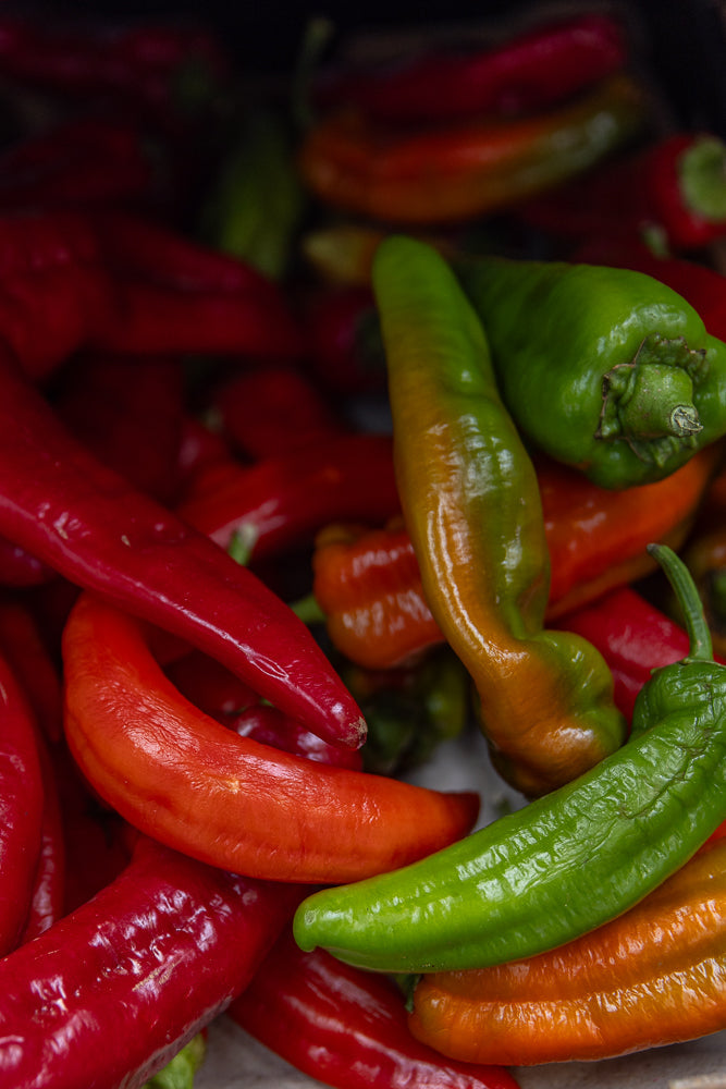 A close-up shot shows a pile of colorful chili peppers. The peppers are a mix of vibrant red, bright green, and orange, with some showing a gradient of color. They are arranged in a way that highlights their smooth, glossy skins and slightly wrinkled texture.