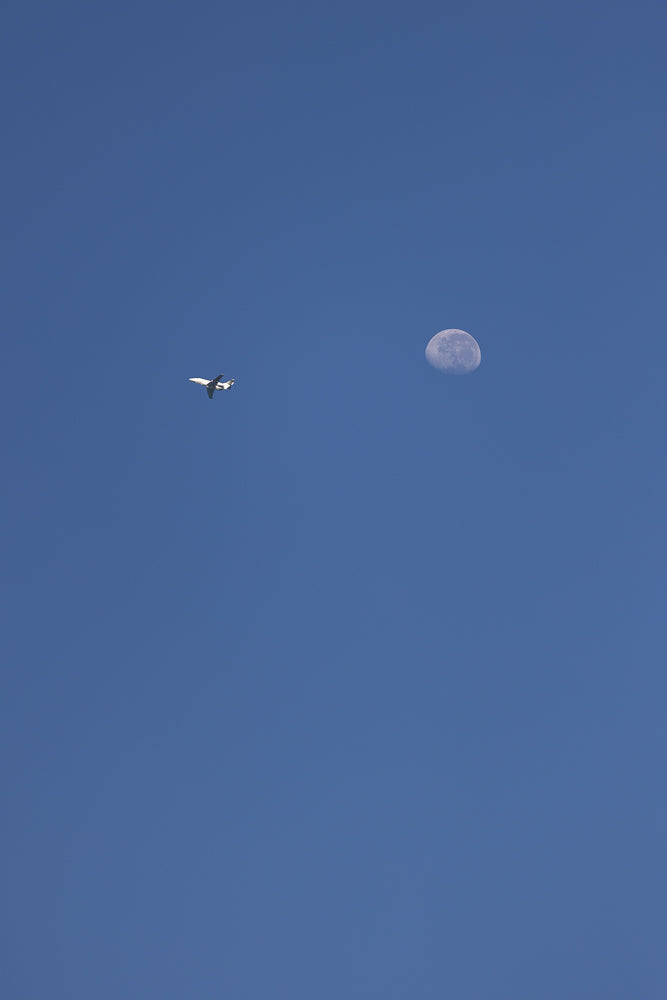 A small white airplane flies across a clear blue sky towards a large, pale moon.