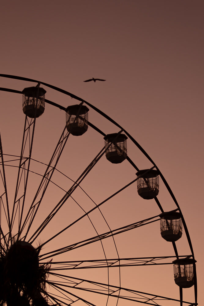 Ferris wheel gondolas silhouetted against a beautiful pastel purple sunset sky with bird flying above