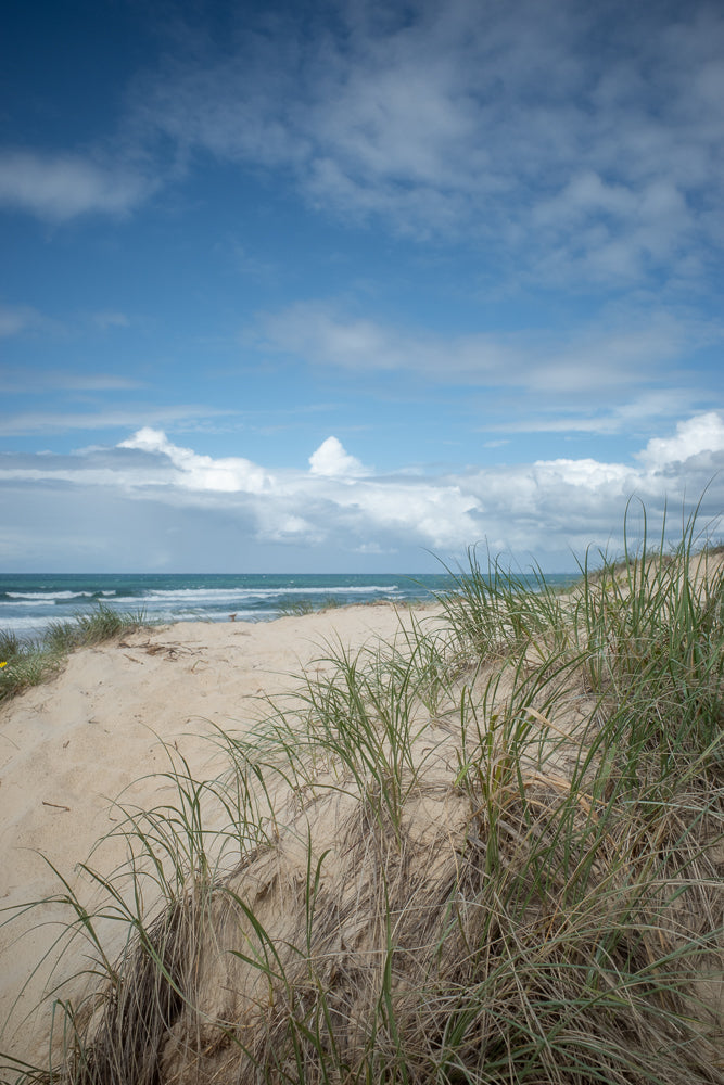 A sandy beach with dunes covered in green grass. The ocean is visible in the background with waves and a cloudy blue sky.