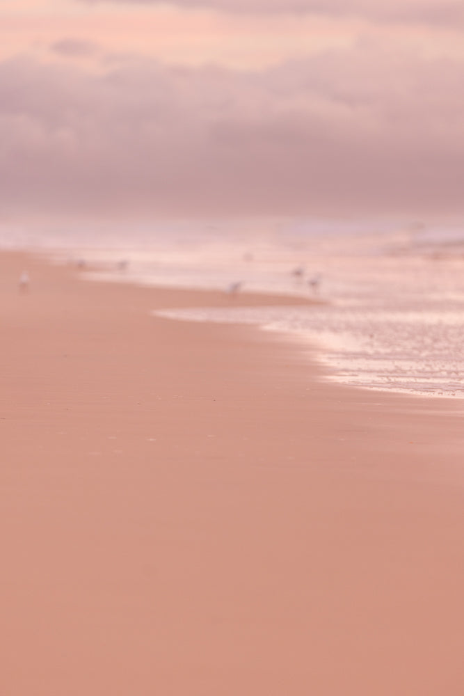 Soft pink sunrise colors on beach blurred to create a beautiful beach seascape with seagulls - perfect for feminine travel background