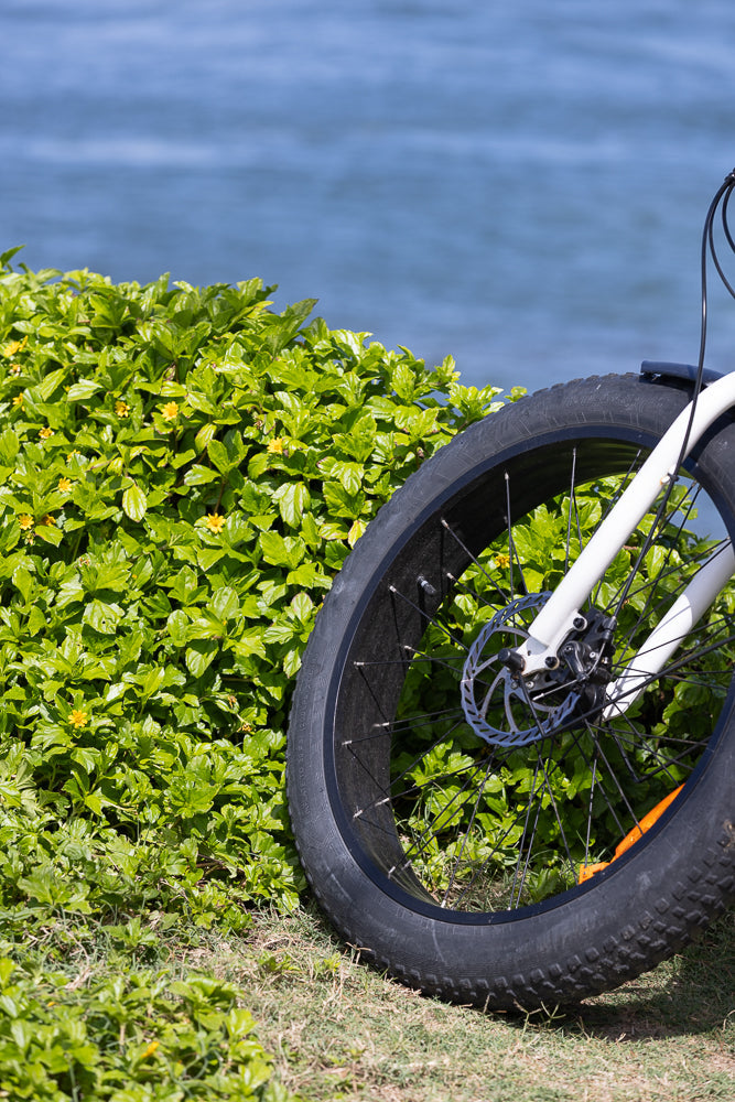 A close-up shot of a bicycle tire and part of the frame, resting against a lush green bush with small yellow flowers. The blue water of a lake or ocean is visible in the background.