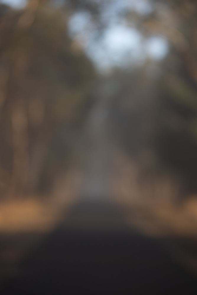A blurred image of a path or road leading into a forest. The trees on either side are out of focus, and the sky is visible through the canopy at the top.