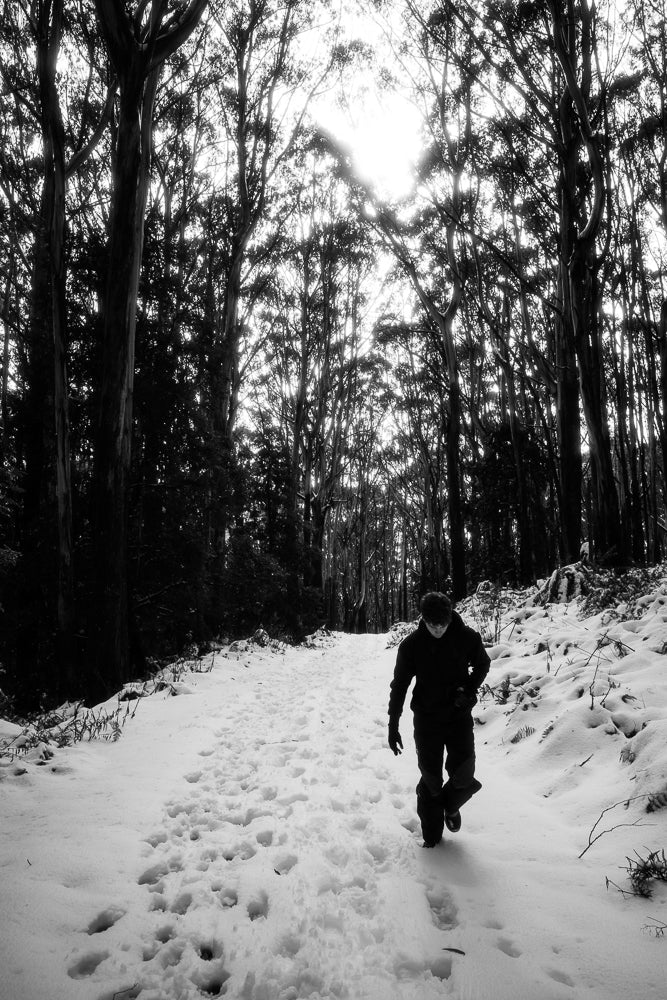 A person walks on a snow-covered path through a forest of tall trees. The sun shines brightly through the branches, creating a dramatic silhouette effect. Footprints mark the snowy ground.