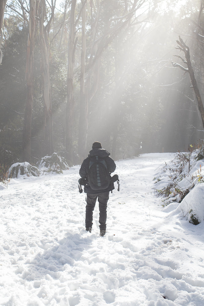 A person wearing a backpack walks on a snow-covered path through a forest with tall trees. Sunlight streams through the trees, creating a hazy, atmospheric effect.