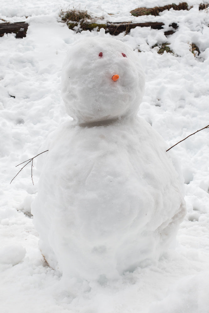 A snowman with a carrot nose and two red berry eyes stands in the snow. Two small twigs serve as arms.