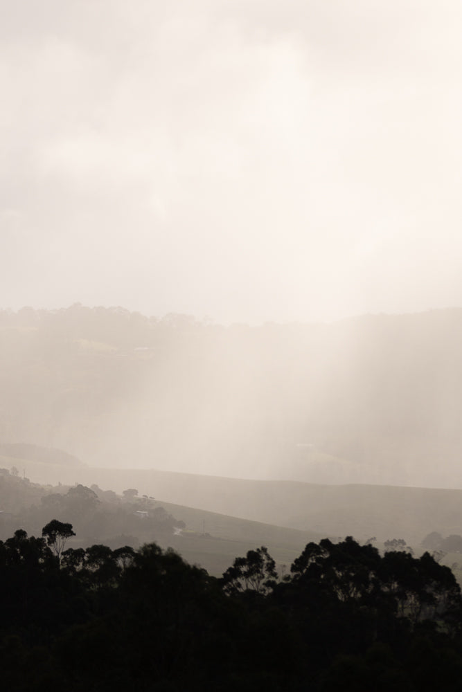 A hazy, muted landscape with rolling hills fading into a bright, overcast sky. Silhouetted trees in the foreground create a dark contrast against the soft, diffused light.