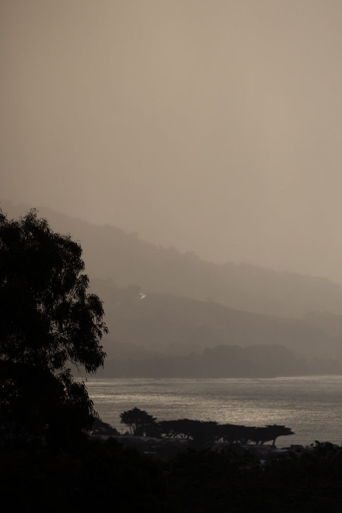 A hazy, muted landscape shows rolling hills fading into the distance, with a dark silhouette of trees in the foreground and middle ground. The ocean is visible between the trees and hills, reflecting the muted light.