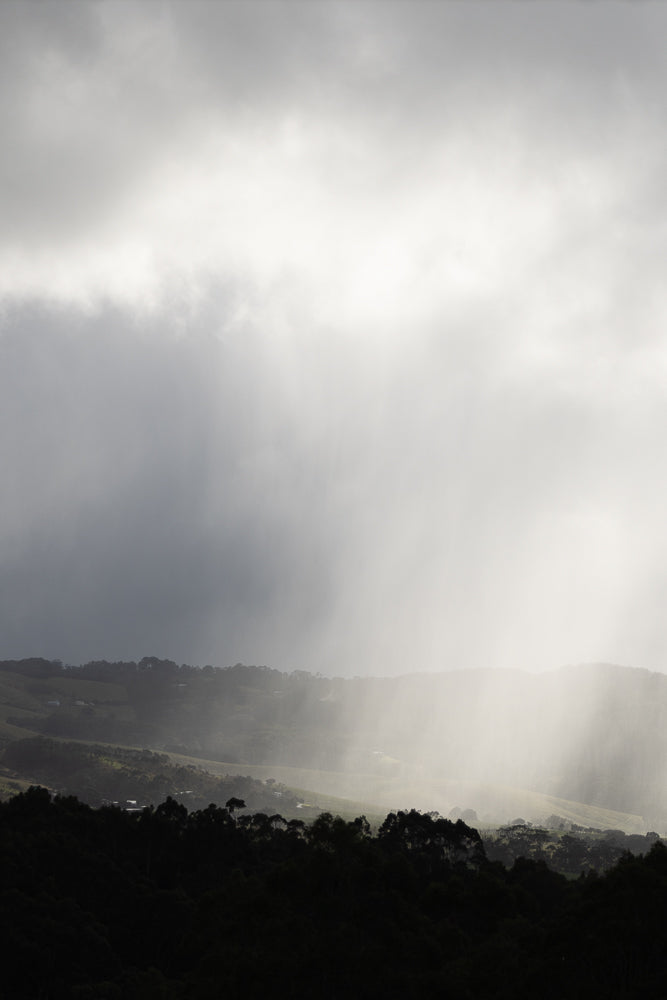 A dramatic landscape scene with dark, silhouetted trees in the foreground. Behind them, rolling hills are bathed in soft, diffused light, with visible shafts of light breaking through the clouds, suggesting a recent or ongoing rain shower.