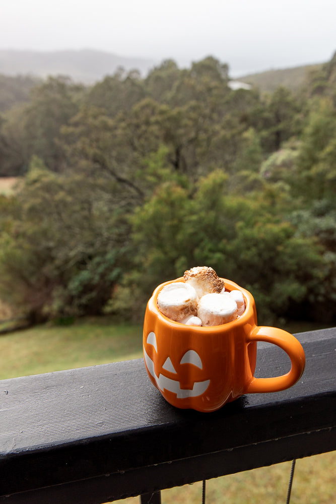 A Halloween-themed orange mug shaped like a jack-o'-lantern, filled with hot chocolate and topped with toasted marshmallows, sits on a dark railing with a blurred background of trees and hills.