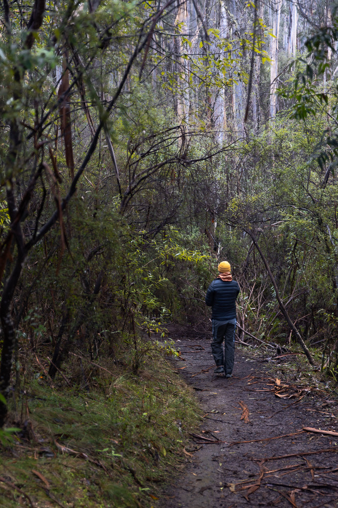 A person wearing a blue puffer jacket and grey pants walks away from the camera on a muddy path through a dense forest. They have a yellow beanie and an orange scarf around their neck.
