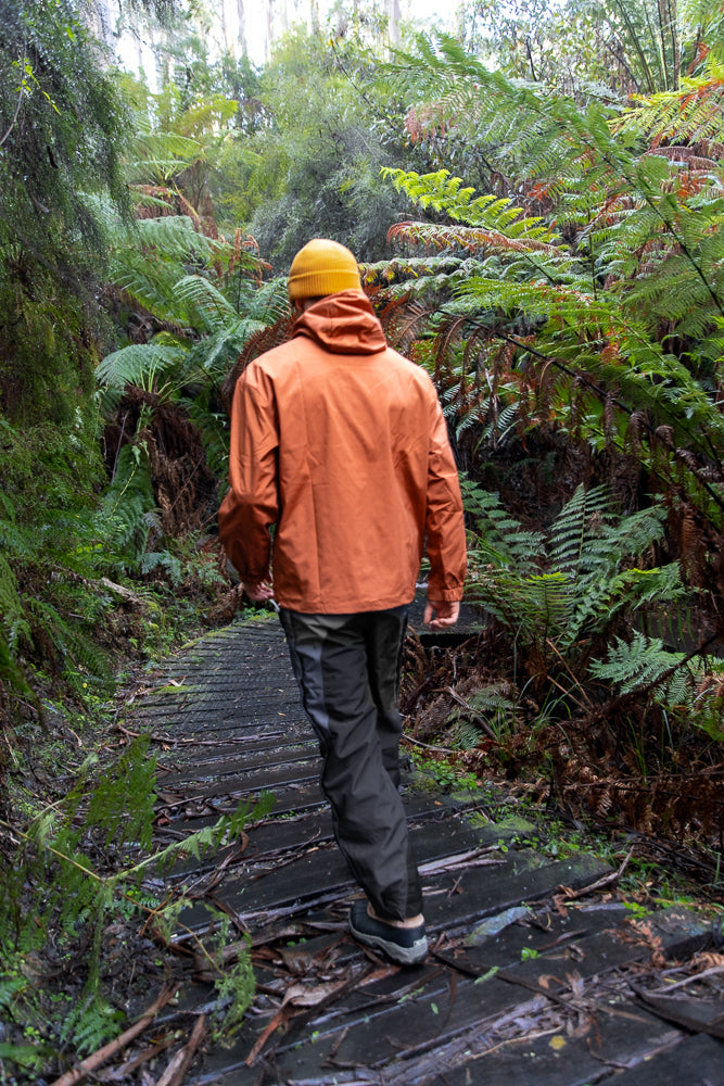 A person wearing an orange jacket and yellow beanie walks down a wooden path surrounded by lush green ferns and trees.