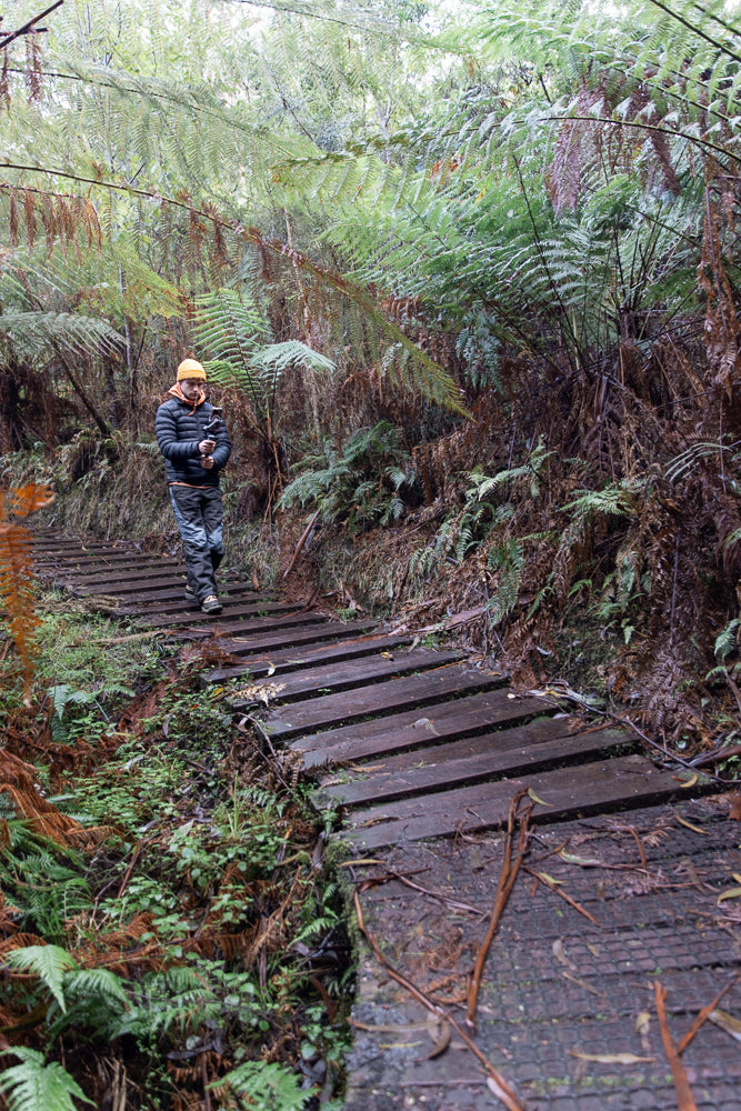 A person wearing a yellow beanie and a puffer jacket walks along a wooden boardwalk through a lush, green forest filled with ferns.