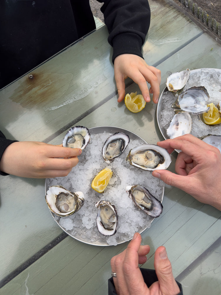 A top-down view of a table with two plates of oysters on ice, garnished with lemon wedges. Several hands are reaching for the oysters, suggesting a shared meal.
