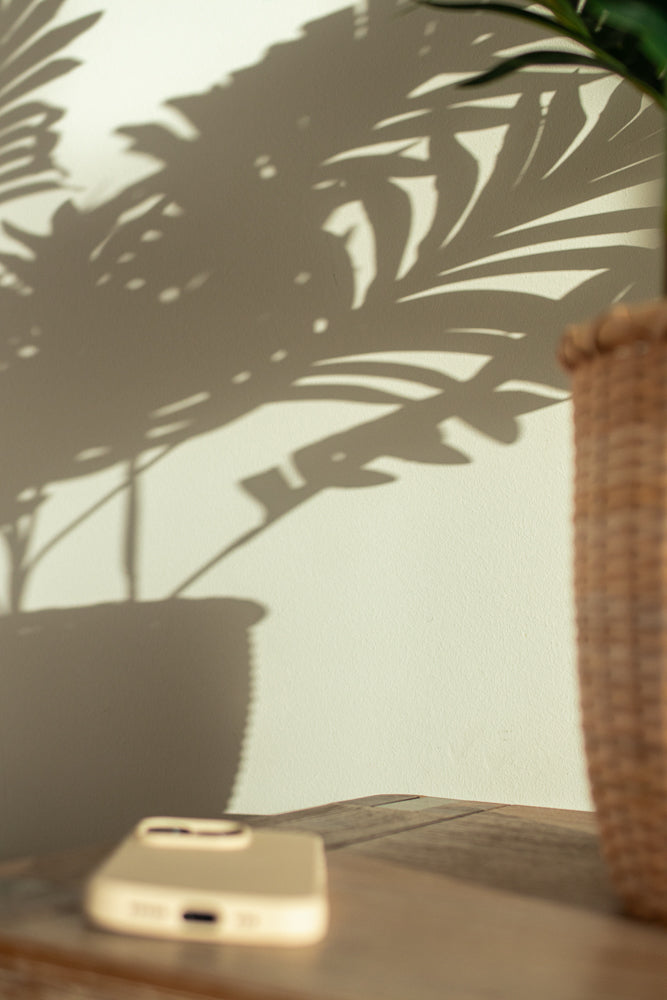 A light-colored wall with the shadow of palm leaves cast upon it. A wicker basket and a smartphone are visible on a wooden surface in the foreground.