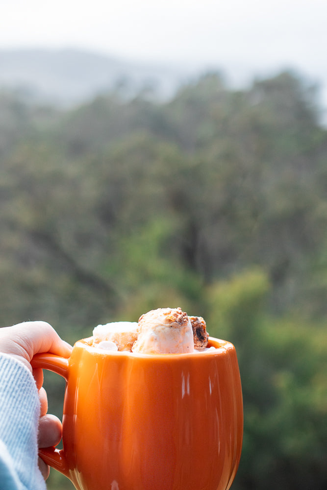 A hand in a light blue sweater holds an orange pumpkin-shaped mug filled with hot chocolate and topped with marshmallows and some crumbled toppings. The background is a blurred view of green trees and a hazy sky.