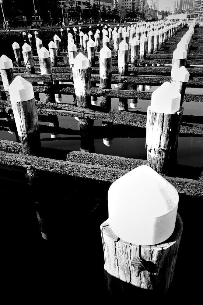 A black and white, low-angle shot of a marina with many wooden posts topped with white caps. The posts are arranged in rows and reflect in the dark water. In the background, buildings and trees are visible.
