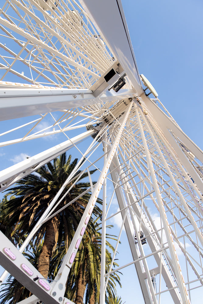Ferris wheel structure reaching blue sky and tropical palms
