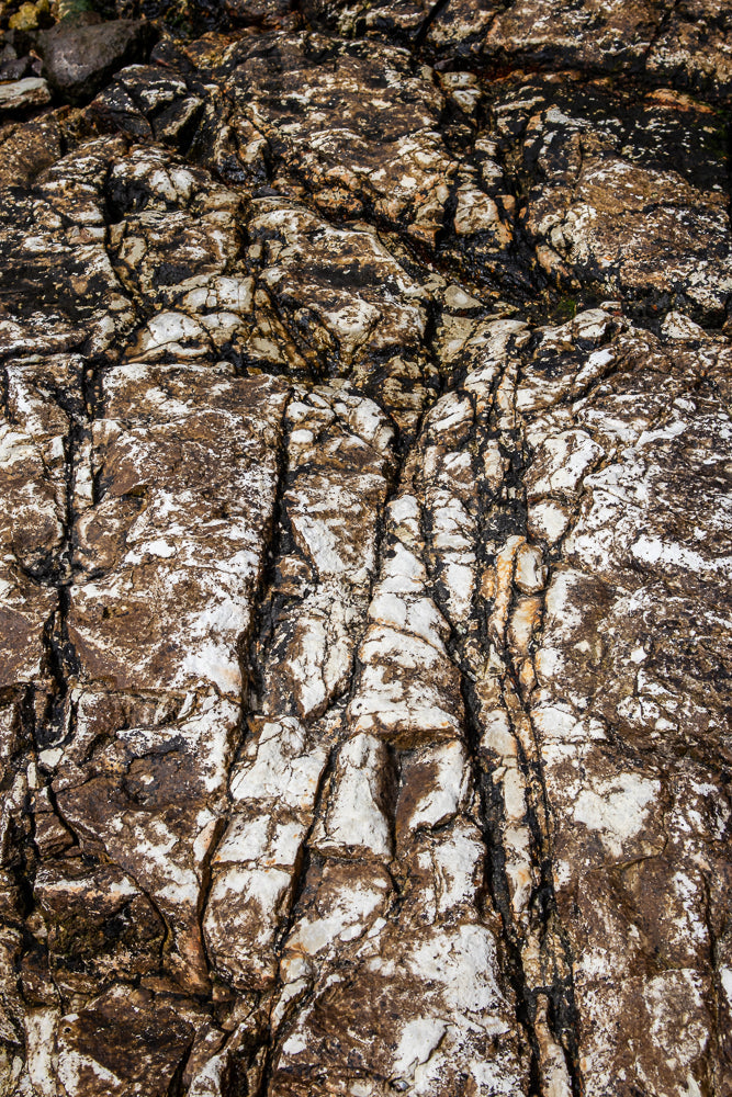 A close-up, overhead view of a large, wet rock face. The rock is textured with deep crevices and cracks, with patches of white, brown, and black minerals. Some areas appear to be covered in dark, wet algae or moss.