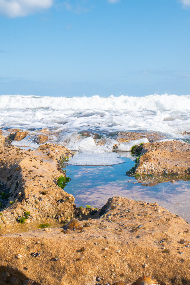 A tide pool filled with clear water and foamy bubbles sits among wet, sandy rocks. In the background, a white wave crashes under a bright blue sky with scattered clouds.