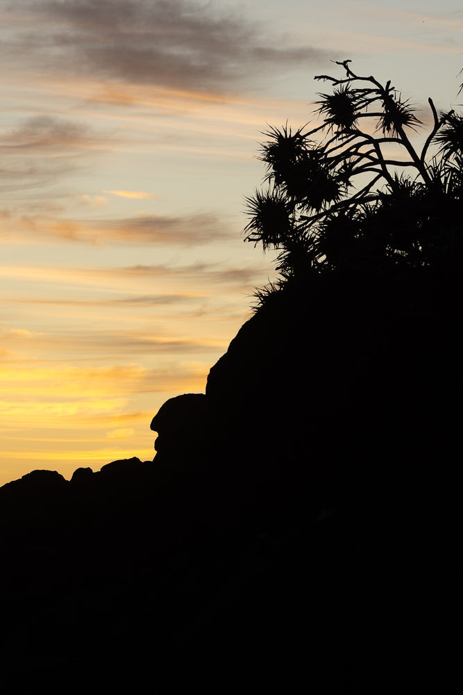 Silhouette of a rocky outcrop with spiky vegetation against a pale yellow and orange sky at sunset.