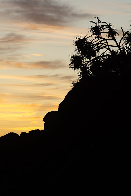 Silhouette of a rocky outcrop with spiky vegetation against a pale yellow and orange sky at sunset.