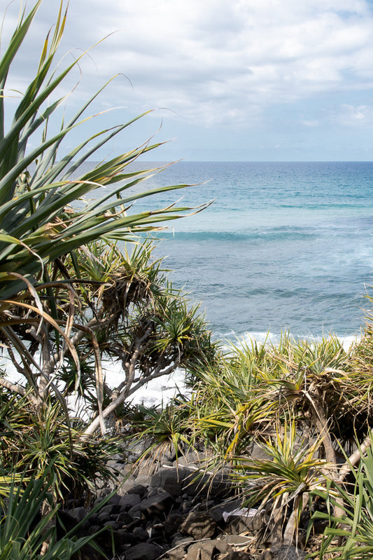 View of the ocean through the spiky leaves of pandanus trees. The water is a deep blue with white waves crashing on a rocky shore.