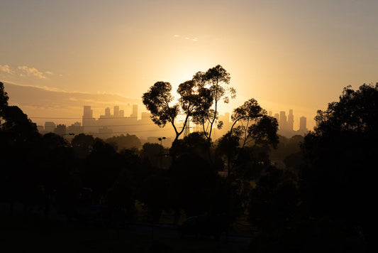 Silhouetted trees in the foreground frame a hazy cityscape at sunrise. The sky is a warm gradient of orange and yellow, with the sun peeking through the clouds.