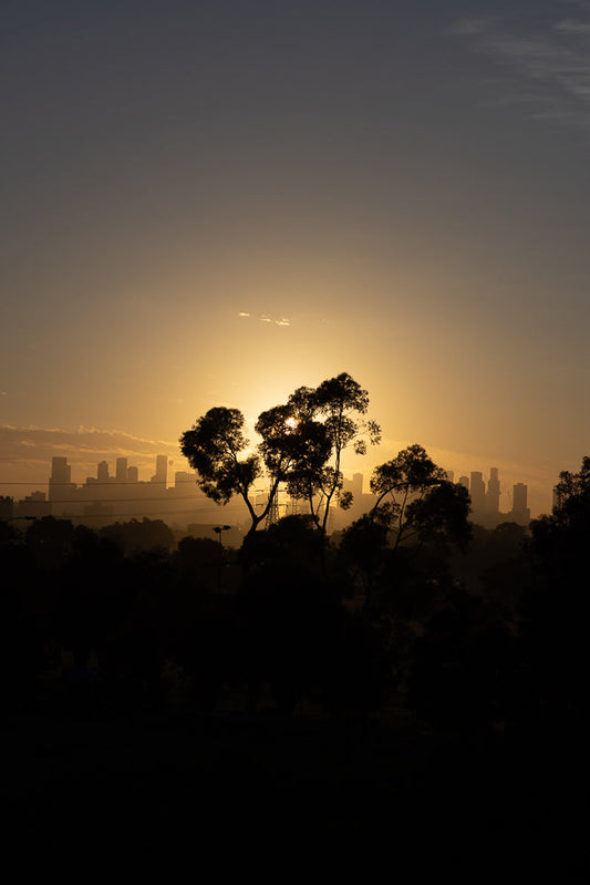 Silhouetted trees in the foreground with a hazy city skyline in the background during a golden sunrise. The sun is peeking through the trees, creating a dramatic effect.
