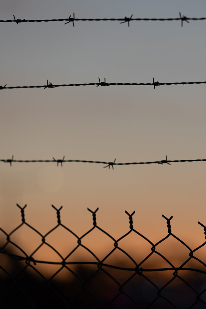 Silhouetted barbed wire and chain-link fence against a soft orange and grey sky at dusk.