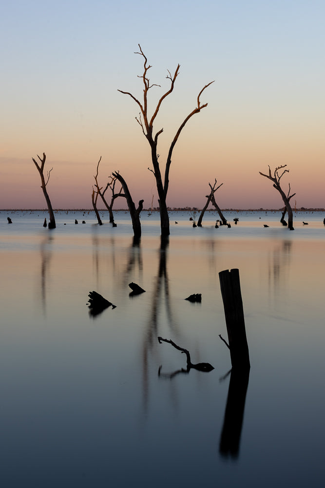 Silhouetted dead trees rise from a calm body of water at sunset. The sky transitions from pale blue to soft orange, reflecting on the water's surface. The scene evokes a sense of peaceful desolation.