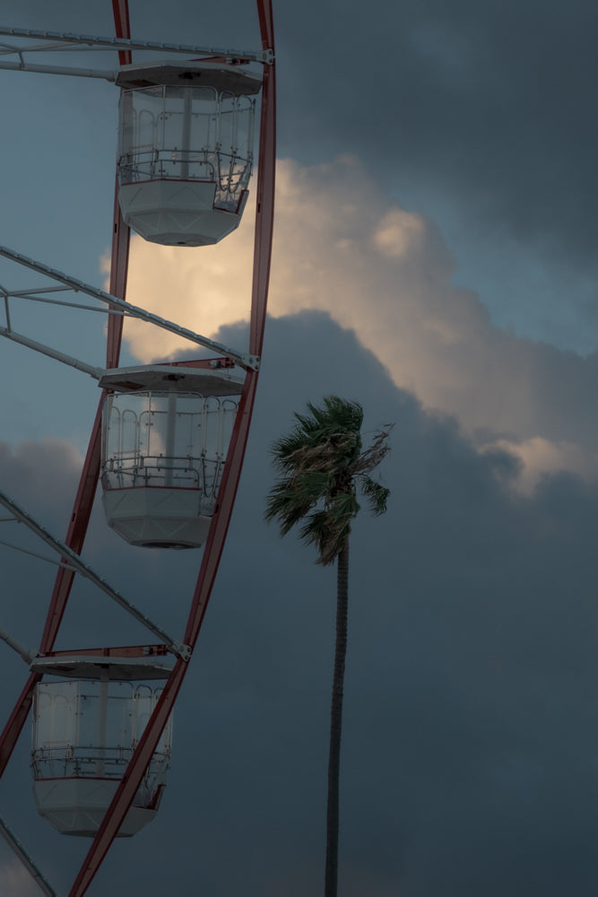 A Ferris wheel with white gondolas and red supports stands against a dark, cloudy sky. A tall palm tree with wind-blown fronds is visible to the right of the Ferris wheel.