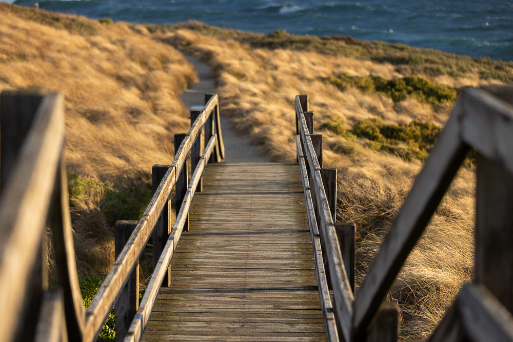 A wooden boardwalk with railings leads over dry, golden grass towards a path and the ocean in the distance. The sun casts long shadows on the wooden planks.