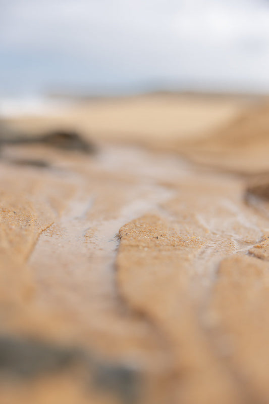 A close-up, low-angle shot of wet sand on a beach. The sand is a warm, golden-brown color, with ripples and textures visible from the water. The background is blurred, showing a hint of the sky and possibly distant dunes.