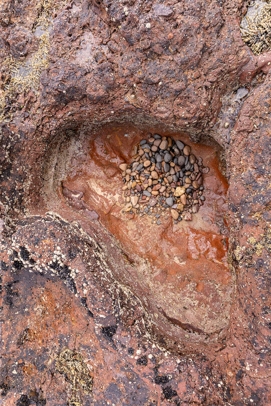 A close-up view of a tide pool filled with smooth, multi-colored pebbles. The surrounding rock is reddish-brown and wet, with small barnacles and seaweed clinging to its surface.