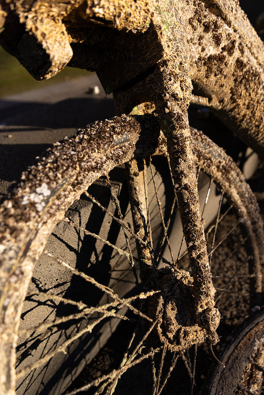 A close-up, low-angle shot of a bicycle frame and wheel covered in barnacles and sand. The sunlight casts long shadows across the scene.