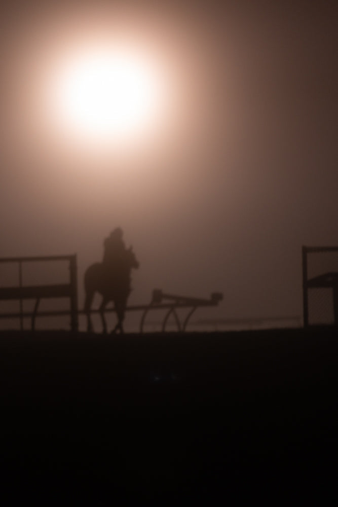 A silhouette of a person riding a horse in the fog, with a bright sun or light source in the upper left corner.