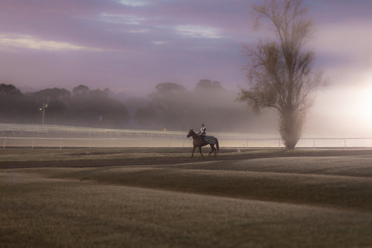 A lone jockey on a brown horse with a striped blanket walks across a misty field at sunrise. A bare tree stands to the right, silhouetted against the bright, hazy sky.