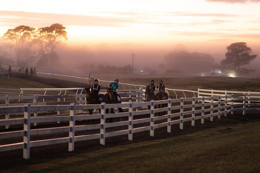A group of horses and riders train on a misty racetrack at sunrise. The sky is a soft orange and pink, with trees silhouetted in the distance. A white fence runs along the track.